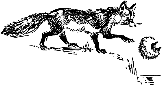 Рассказы о Чарлзе Дарвине i_047.png