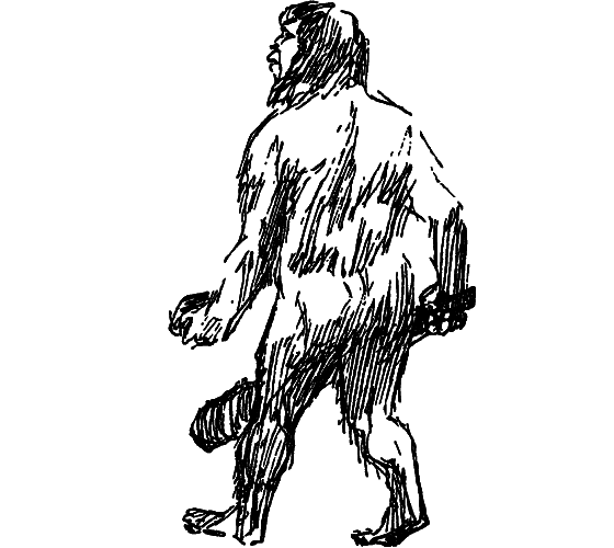 Рассказы о Чарлзе Дарвине i_056.png