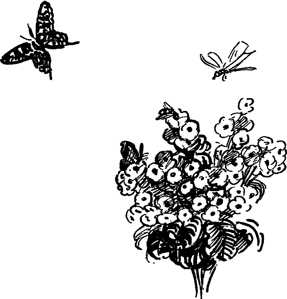Рассказы о Чарлзе Дарвине i_059.png