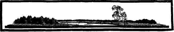 img_31.jpeg