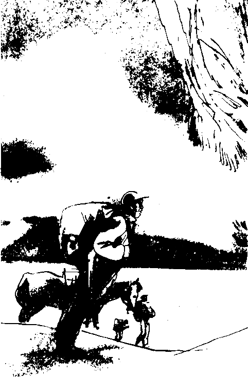 Чернушка pic_3.png