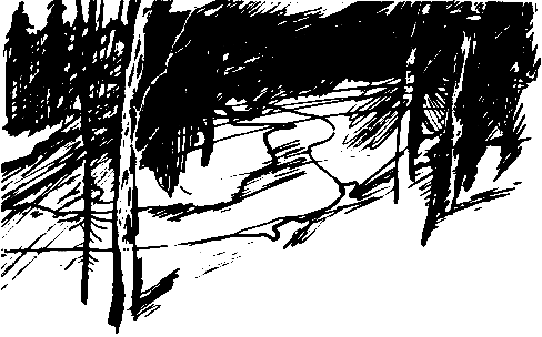 Чернушка pic_5.png