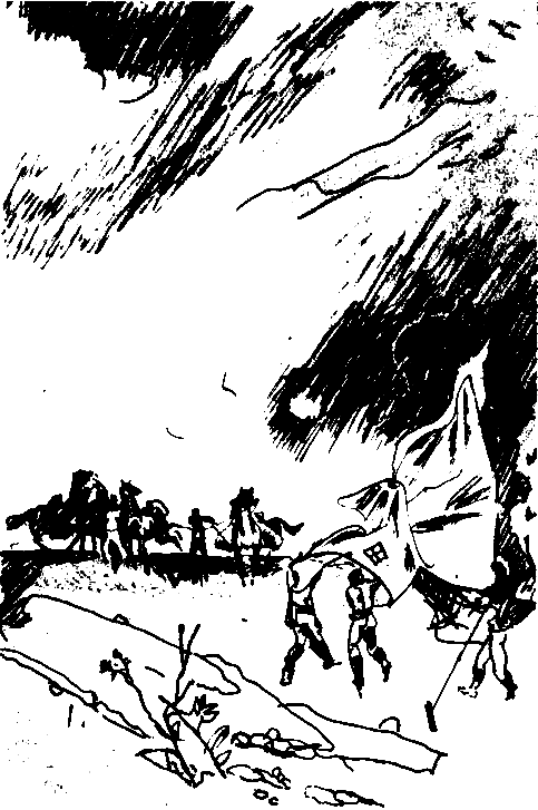 Чернушка pic_12.png