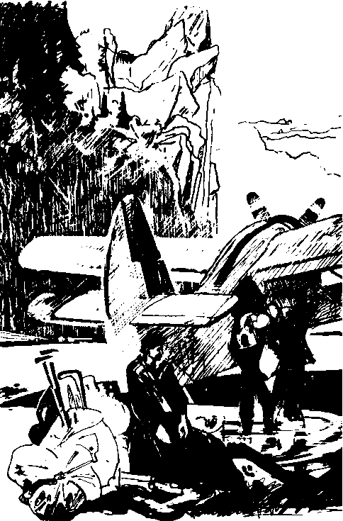 Чернушка pic_6.png