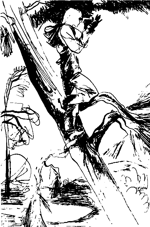 Чернушка pic_7.png