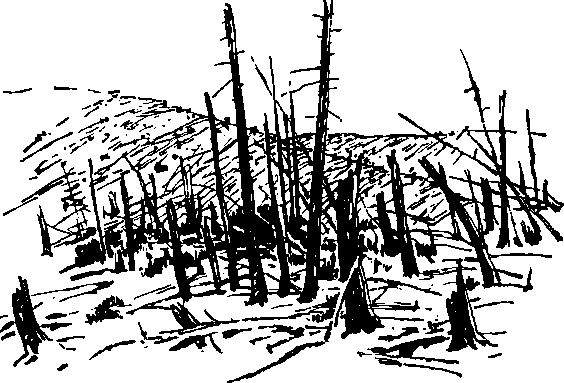 Вселенная полна загадок i_011.png
