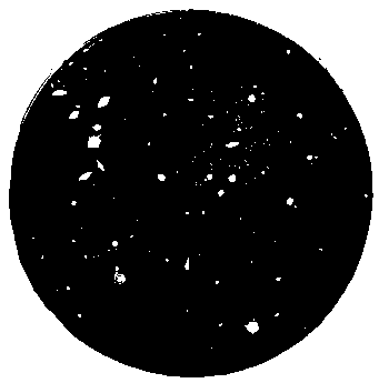 Вселенная полна загадок i_045.png