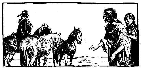 Моя жизнь среди индейцев (с илл.) pic_16.png