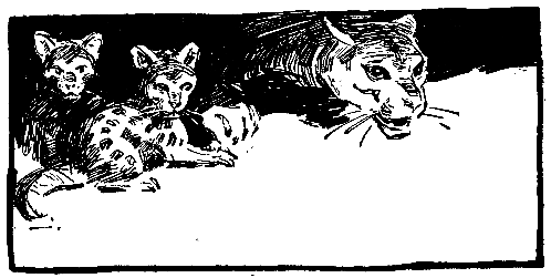 Моя жизнь среди индейцев (с илл.) pic_29.png
