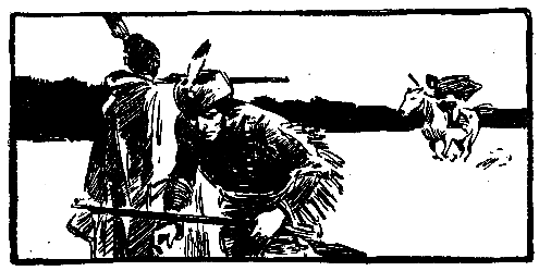 Моя жизнь среди индейцев (с илл.) pic_32.png