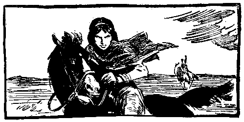 Моя жизнь среди индейцев (с илл.) pic_33.png