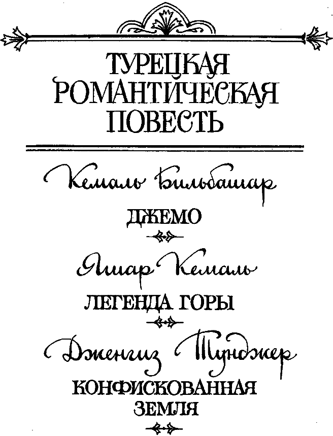 Турецкая романтическая повесть i_001.png
