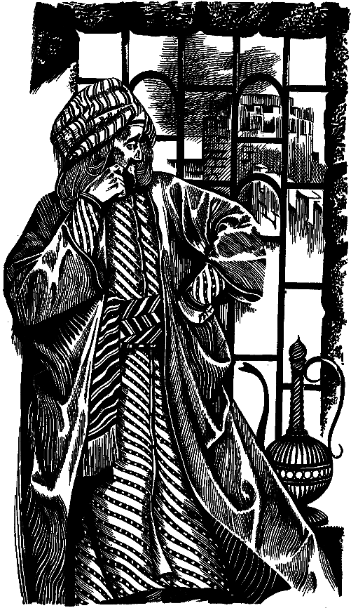 Турецкая романтическая повесть i_010.png