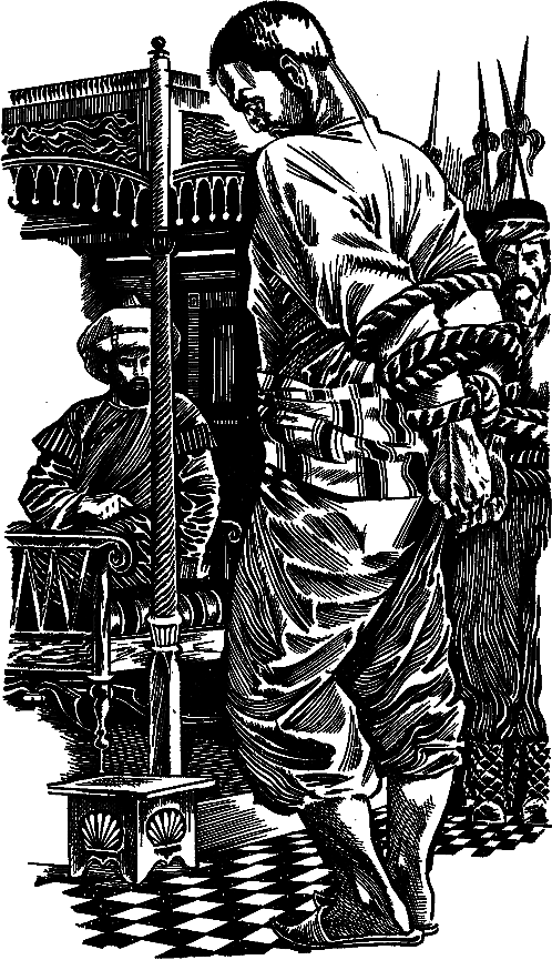 Турецкая романтическая повесть i_012.png