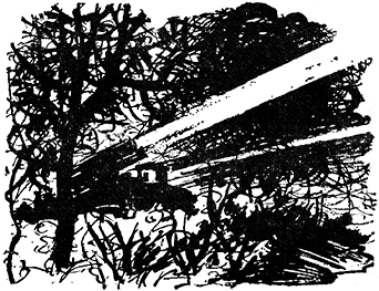 Дорогами большой войны i_019.png