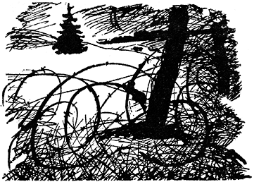 Дорогами большой войны i_029.png