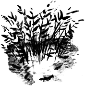 Веселыми и светлыми глазами i_038.png
