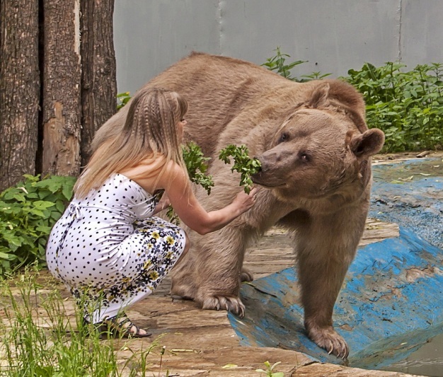 Зверьё моё _59.jpg
