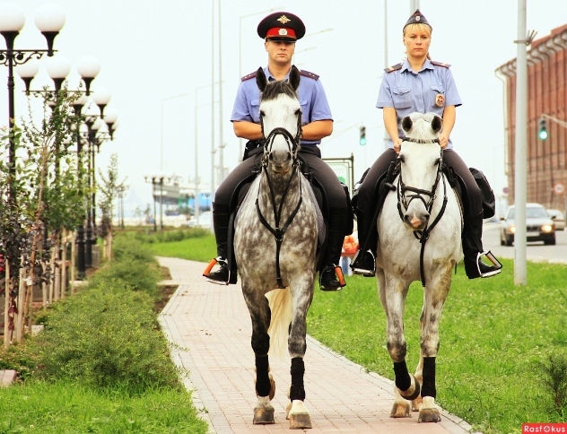Зверьё моё _61.jpg