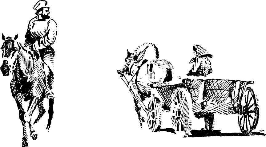 Алёша Карпов img_18.jpeg