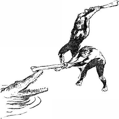 i_008.jpg