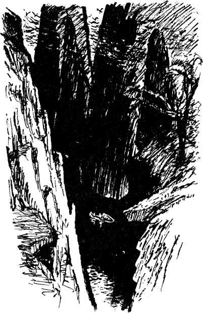 i_013.jpg