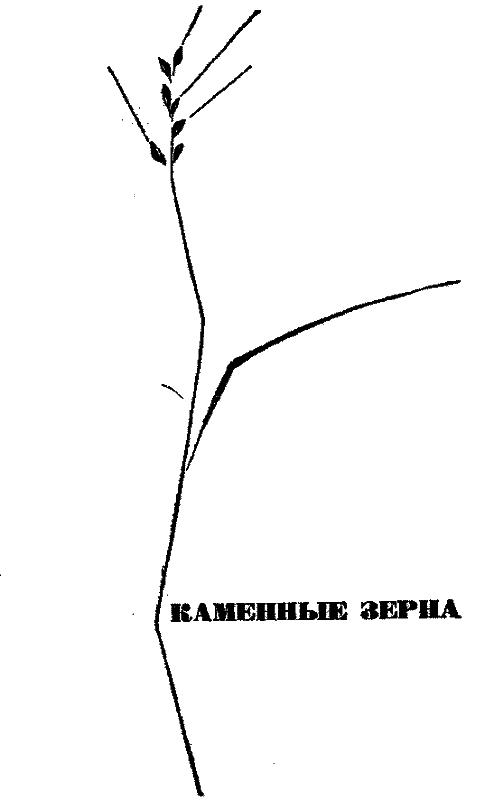 Государыня пустыня i_039.png