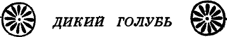Государыня пустыня i_059.png