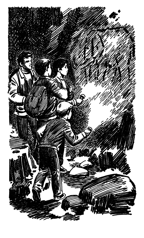 Рыцари черешневого цветка p0240.png