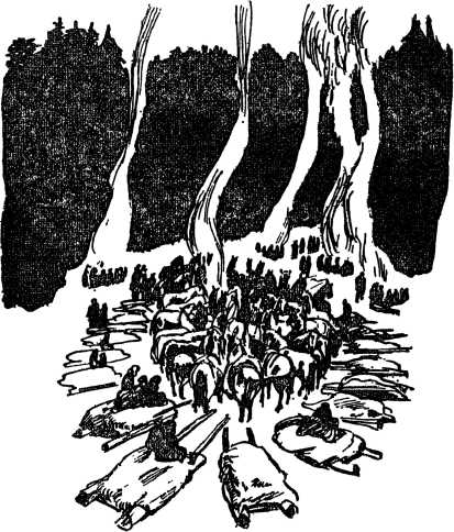 i_114.jpg