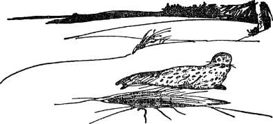 i_119.jpg