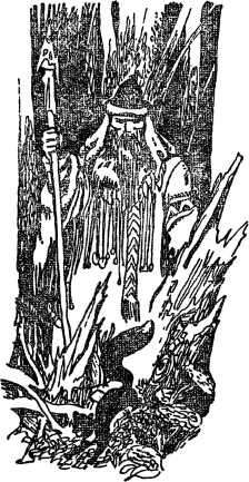 i_195.jpg