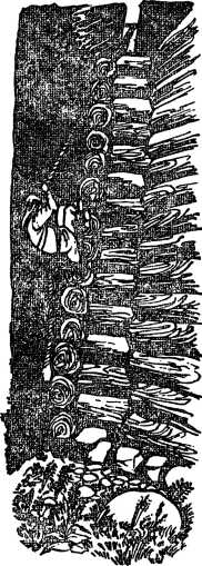 i_017.jpg
