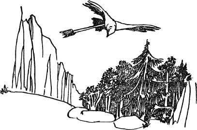 i_080.jpg