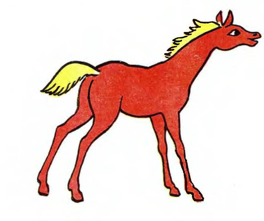Жук-кривая горка _16.jpg