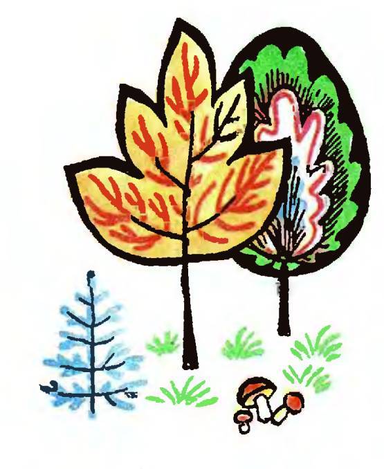 Жук-кривая горка _19.jpg