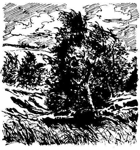 Путешественники в третье тысячелетие i_004.png