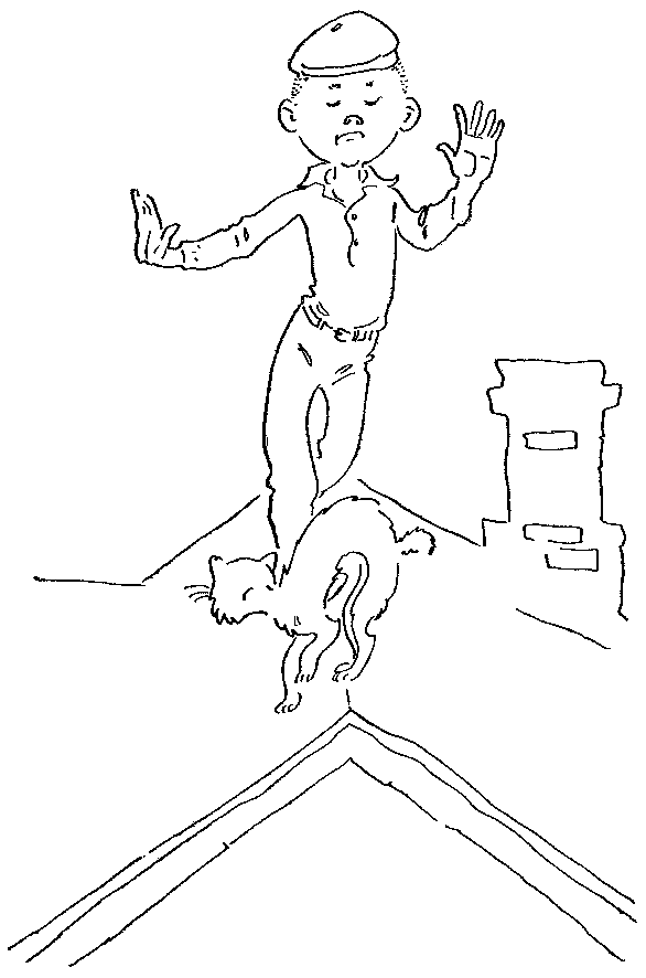 pic007.png