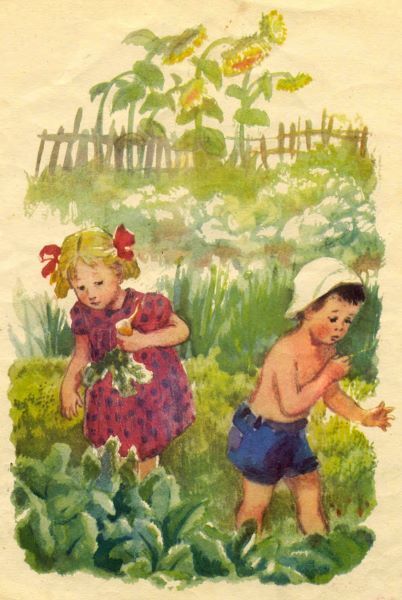 Летом. Маленькие рассказы i_009.jpg
