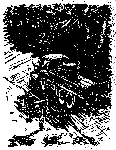 Голубой пакет (илл. А.Е.Скородумова) pic_13.png