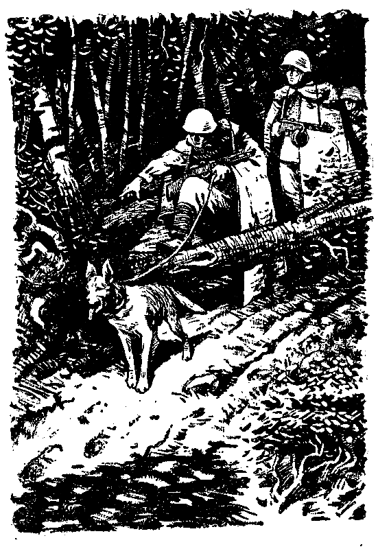Голубой пакет (илл. А.Е.Скородумова) pic_15.png