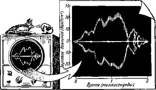 Звук за работой i_048.jpg