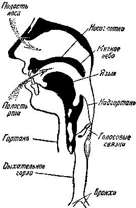 Звук за работой i_034.jpg