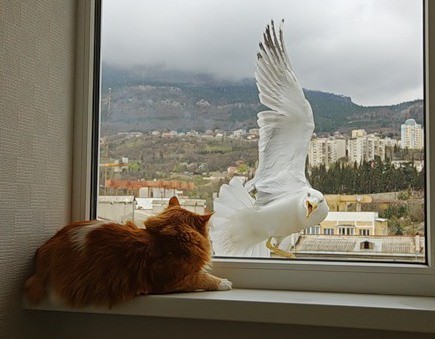 Кис-кис-кис-kiss me... _4.jpg