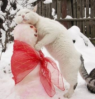 Кис-кис-кис-kiss me... _21.jpg
