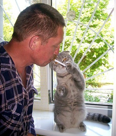 Кис-кис-кис-kiss me... _34.jpg