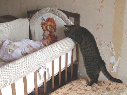 Кис-кис-кис-kiss me... _41.jpg