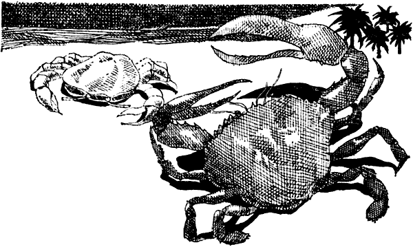 i_023.png