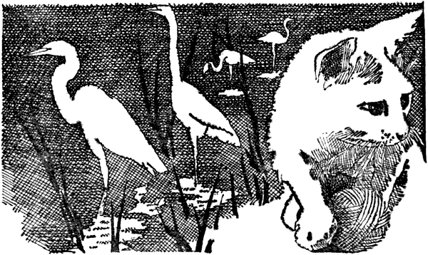i_024.png