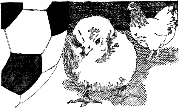 i_028.png